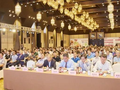 凯发k8董事长张经甫受邀出席首届中国国际特种砂浆高端论坛并发表演讲