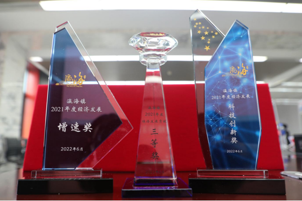 助力经济发展，凯发·k8国际(中国)首页登录
股份公司获瀛海镇经济发展三项大奖
