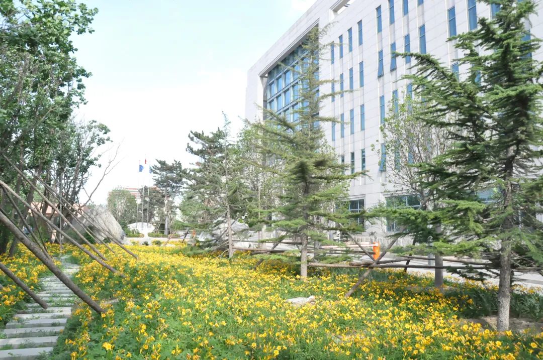 践行可持续发展理念,凯发k8全链路打造环保健康人居环境